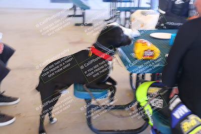 media/Mar-23-2025-TrackDaz (Sun) [[88a7749186]]/Around the Pits/